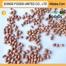 Peanut Shell Company Songs Foods